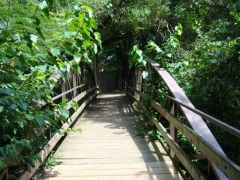 FC Parks – Cavalier Trail Park bridge