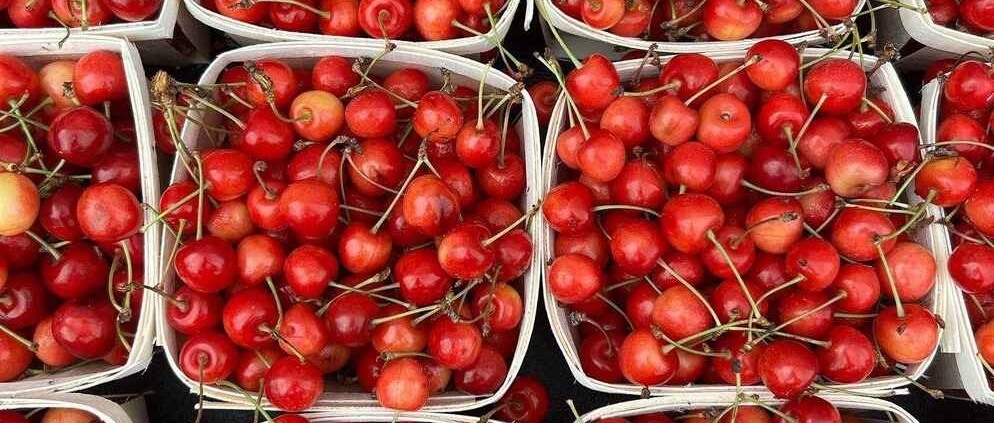 Farmers-Market-Cherries