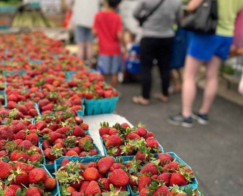 FC-Farmers-Market-People