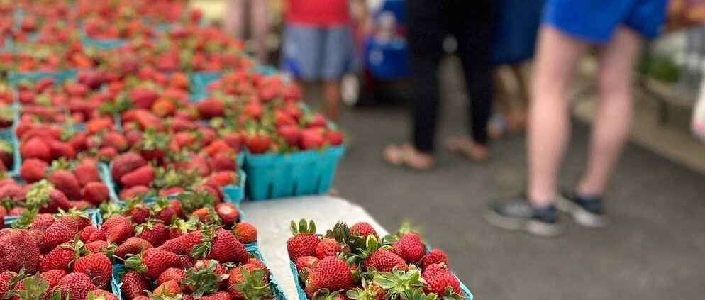 FC-Farmers-Market-People