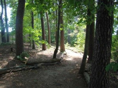 FC Parks – Fort-Taylor-Park trail