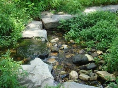 FC Parks – Howard-Herman-Park-stream