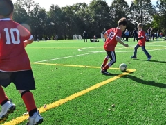 FC Parks – Larry Graves Park fields